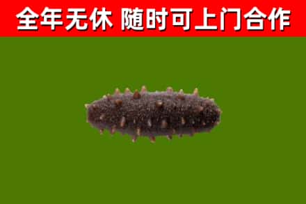 清城区烟酒回收干海参.jpg